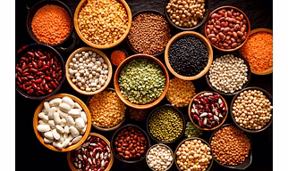 Pulses