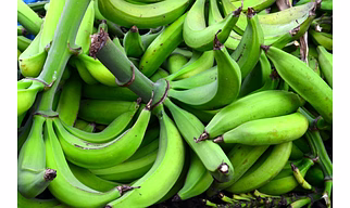 Fresh Banana