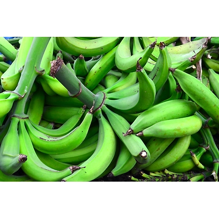 Fresh Banana-12616438