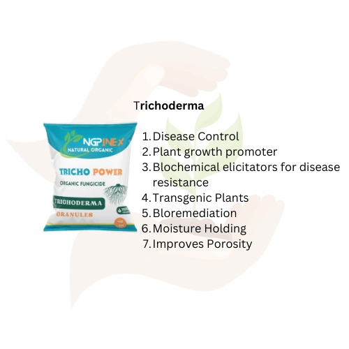 (ORGANIC FUNGICIDE) TRICHO POWER-2