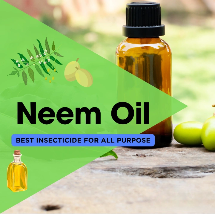 Organic Neem Oil-12634196