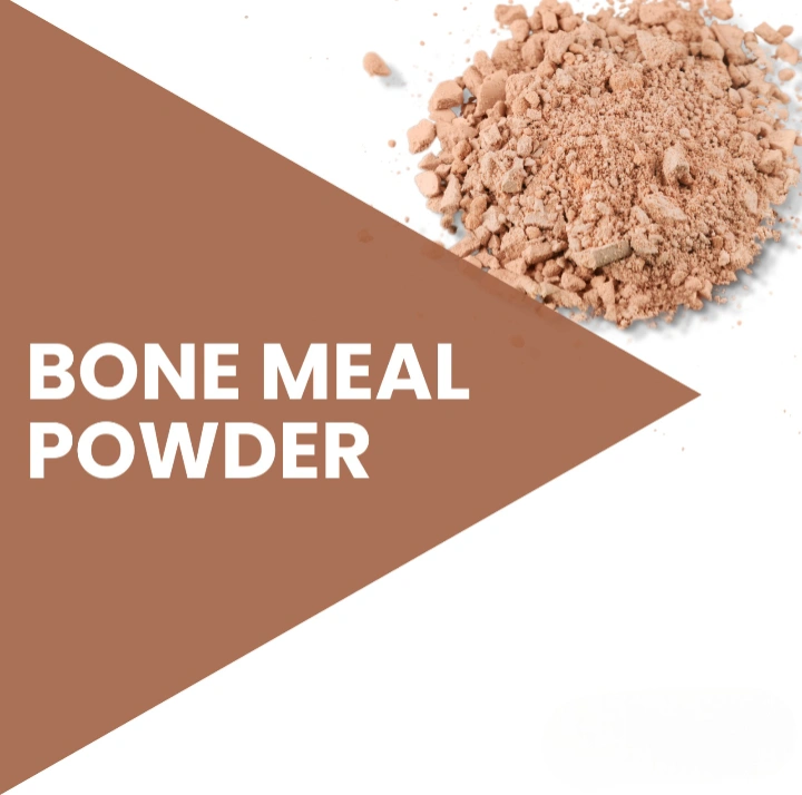 Bone Meal-1