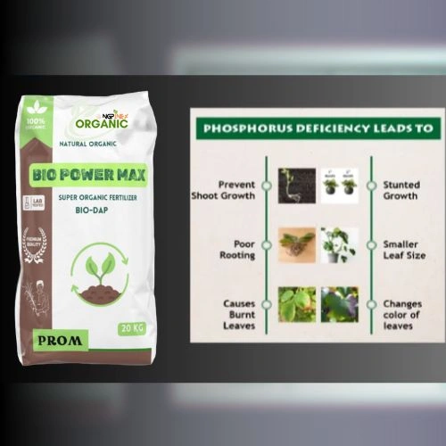 Phosphate Rich Organic Manure (prom)-2