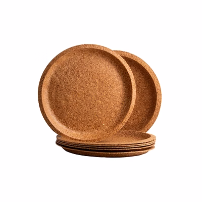 thooshan wheat bran 10 inch dinner plate