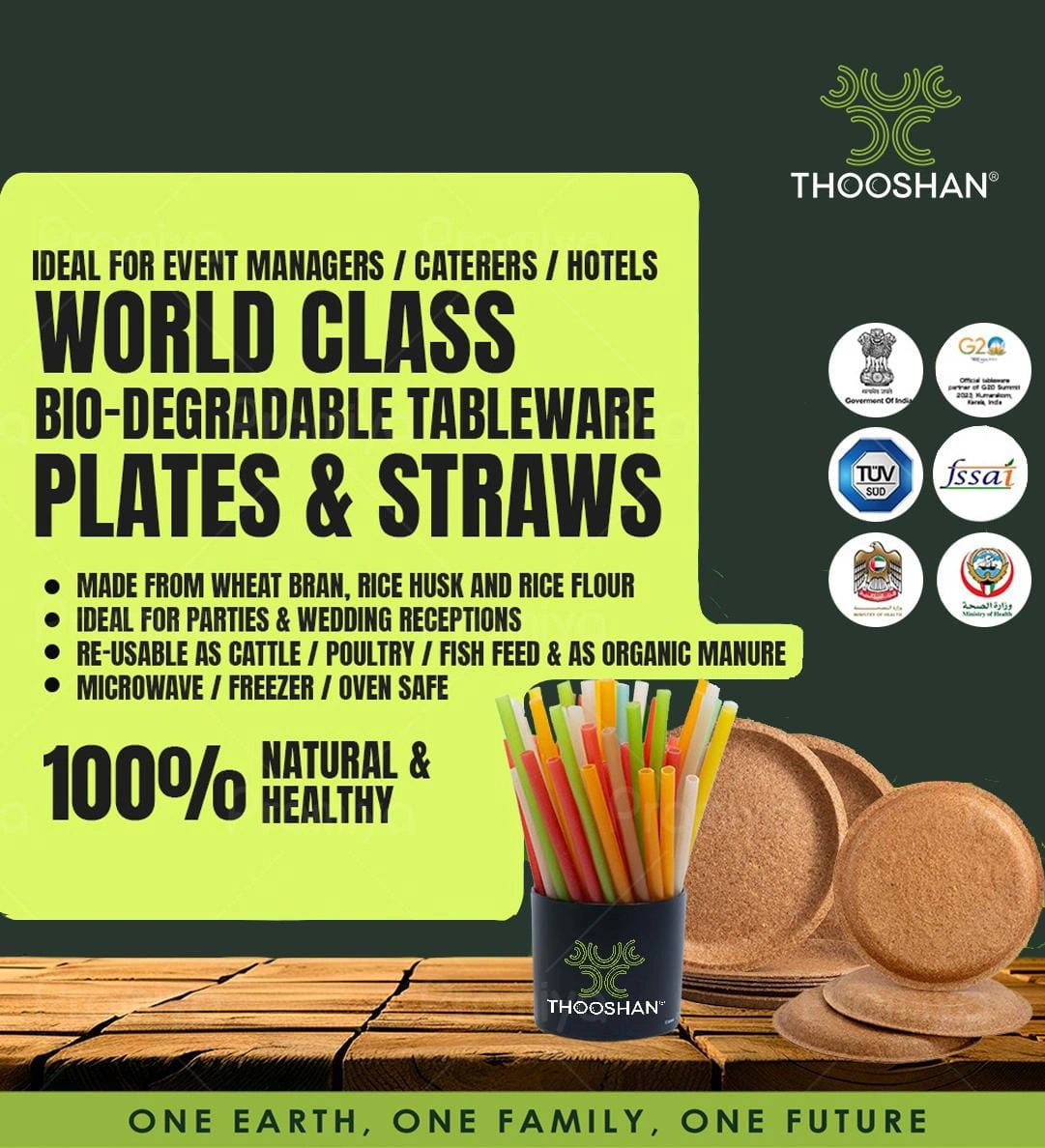 THOOSHAN WHEAT BRAN 10 INCH DINNER PLATE-2