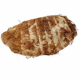 taro