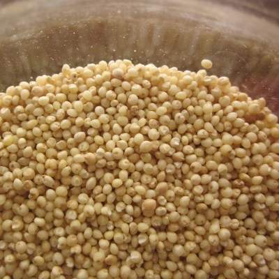 Millets - KODO-1