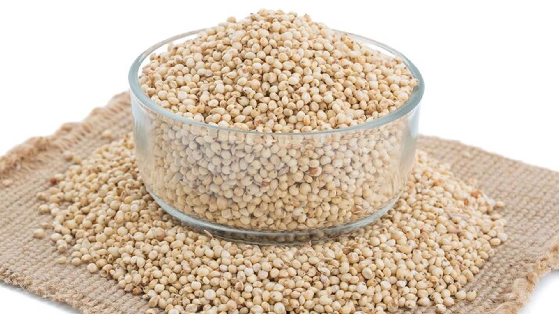 Jowar / Sorghum millet-3