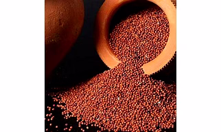 Ragi / Finger millet