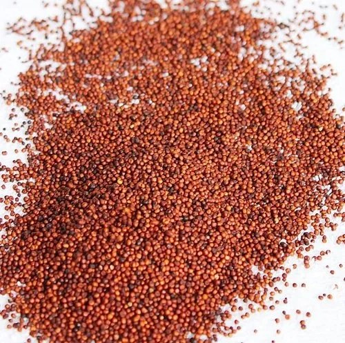 Ragi / Finger millet-1