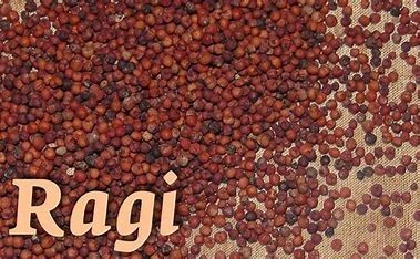 Ragi / Finger millet-2