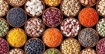 Pulses-12598580