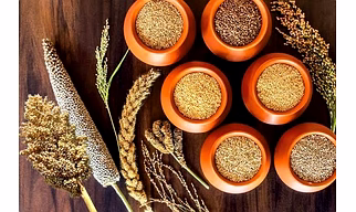 Grains
