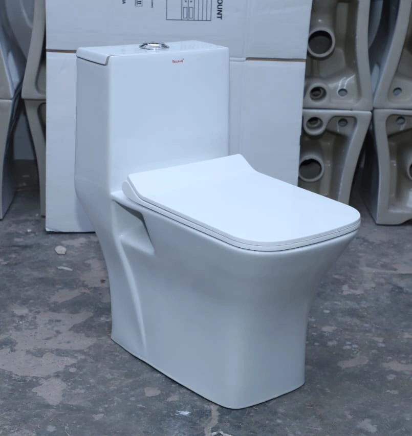 One Piece Water Closet 106-12653993