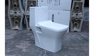 One Piece Water Closet 106