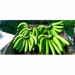 banana