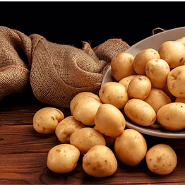 potato