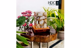 Brown Agate lamp/ Table lamp