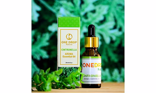 ONEDROP NATURAL Cintronella Essential Oil Diffuser | Aroma Oil Diffuser for Home 20 Ml