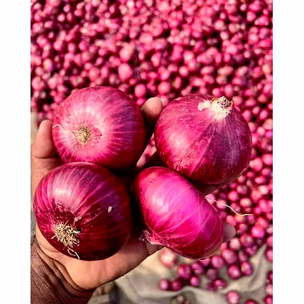ONION-1