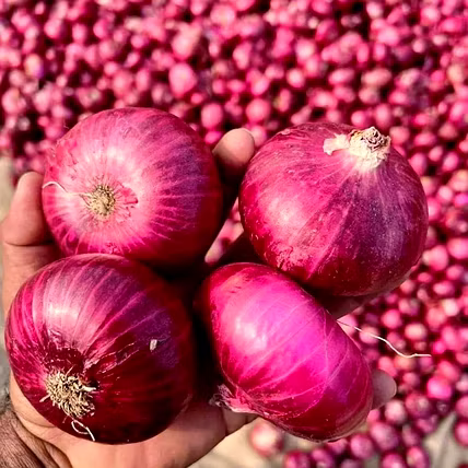 ONION-2