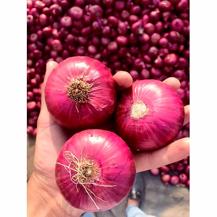 ONION-3