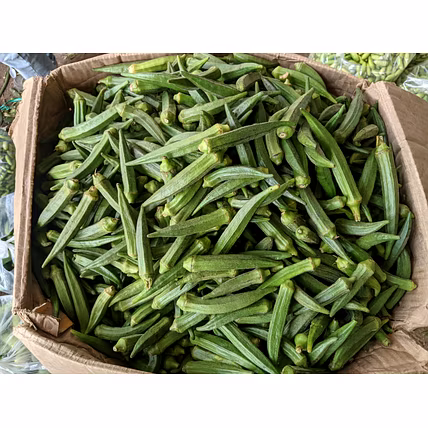 OKRA-4