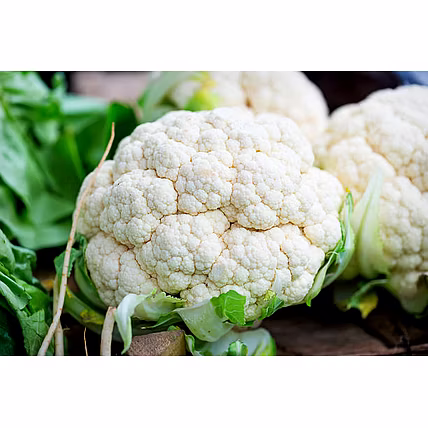 CAULIFLOWER-12600972