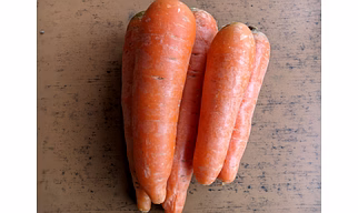 CARROT