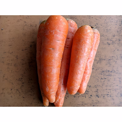 carrot