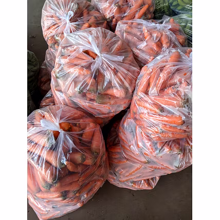 CARROT-1