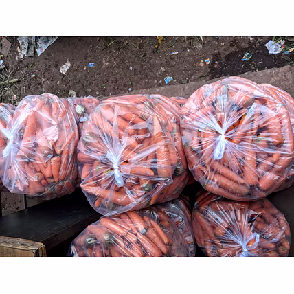 CARROT-3