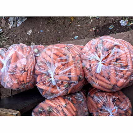 CARROT-4
