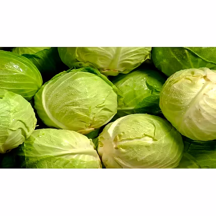 CABBAGE-1