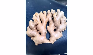 Fresh Ginger