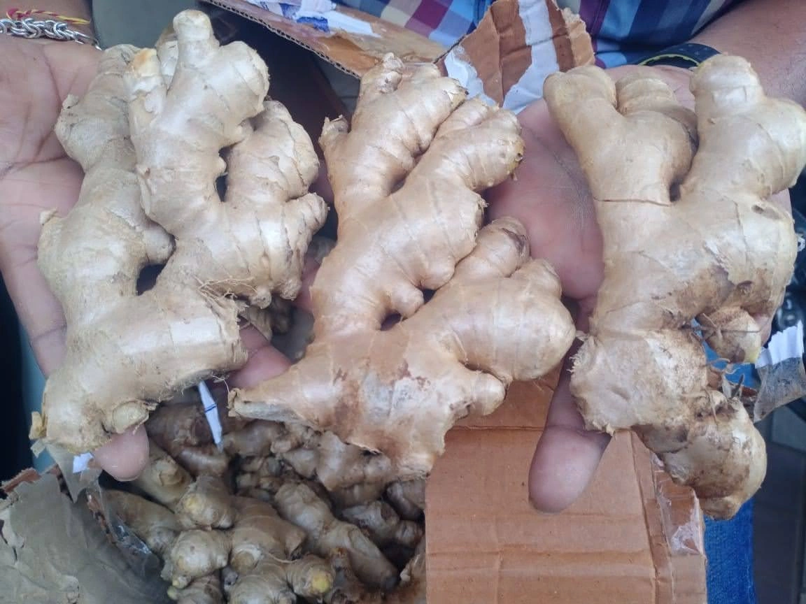 Fresh Ginger-2