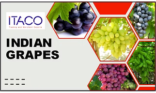 Grapes