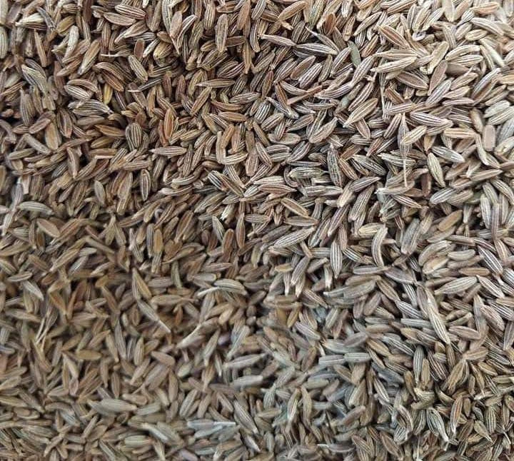 Cumin Seeds