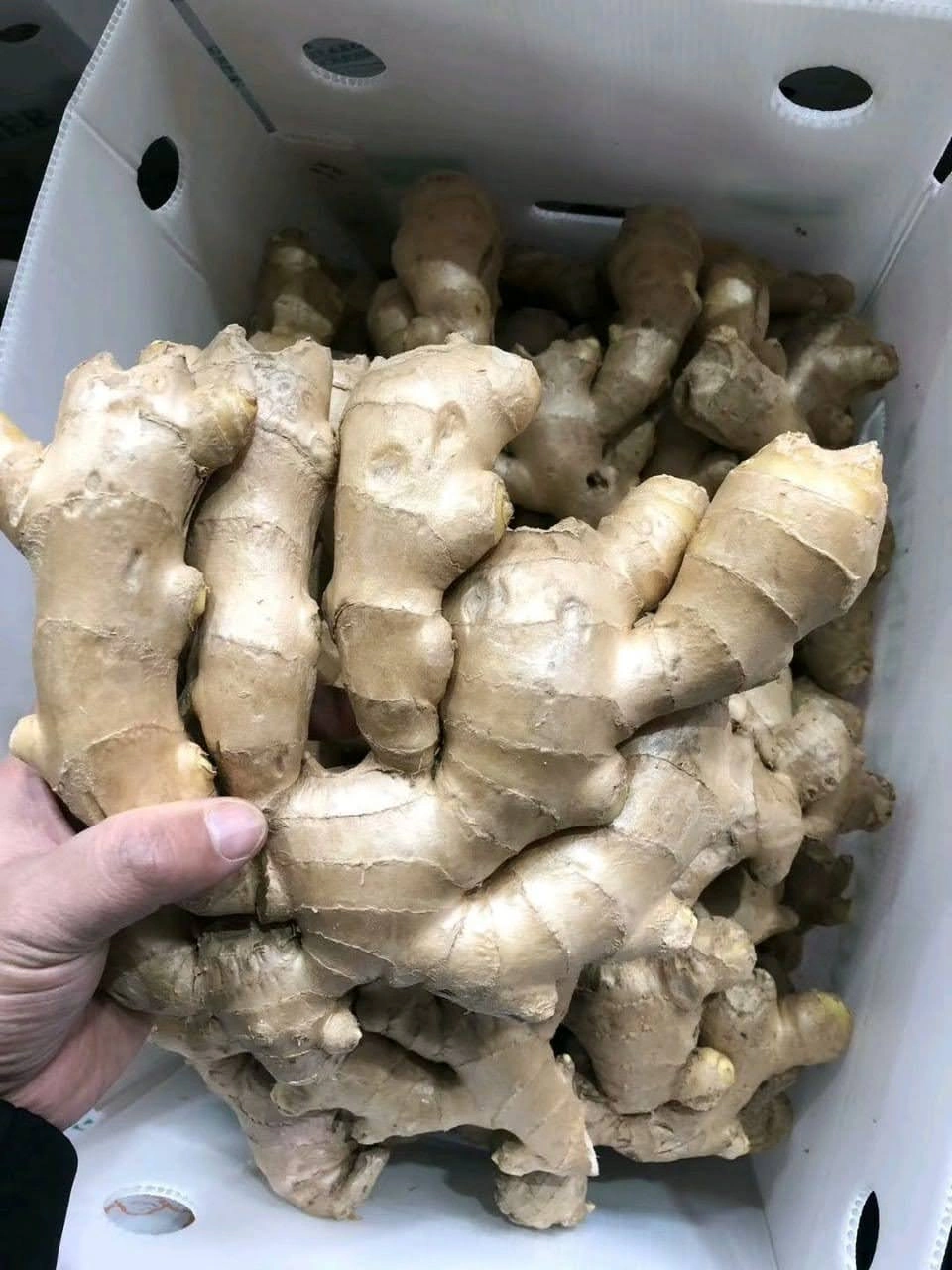 Fresh Ginger