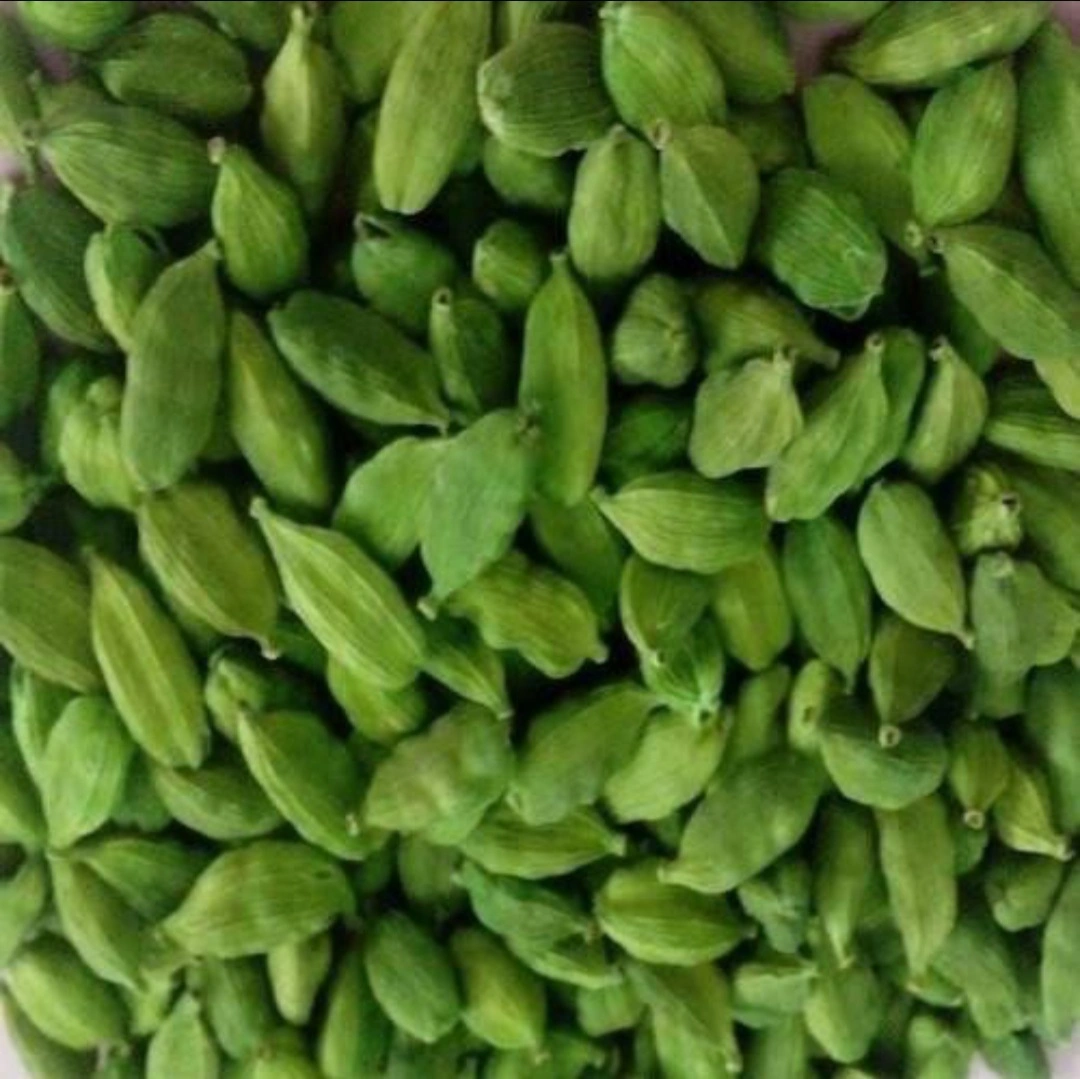 Cardamom-12649129