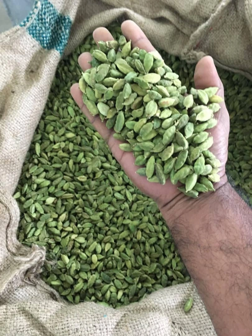 Cardamom-1