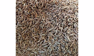 Cumin Seeds