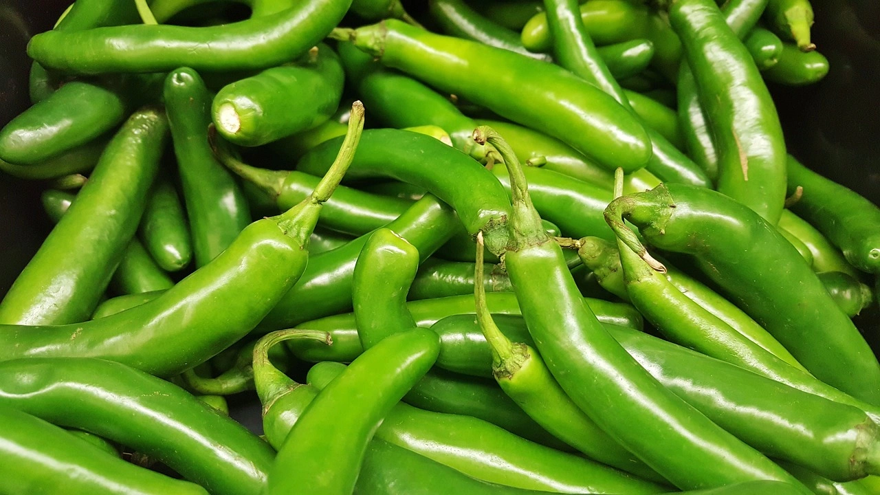 Fresh Green Chilli