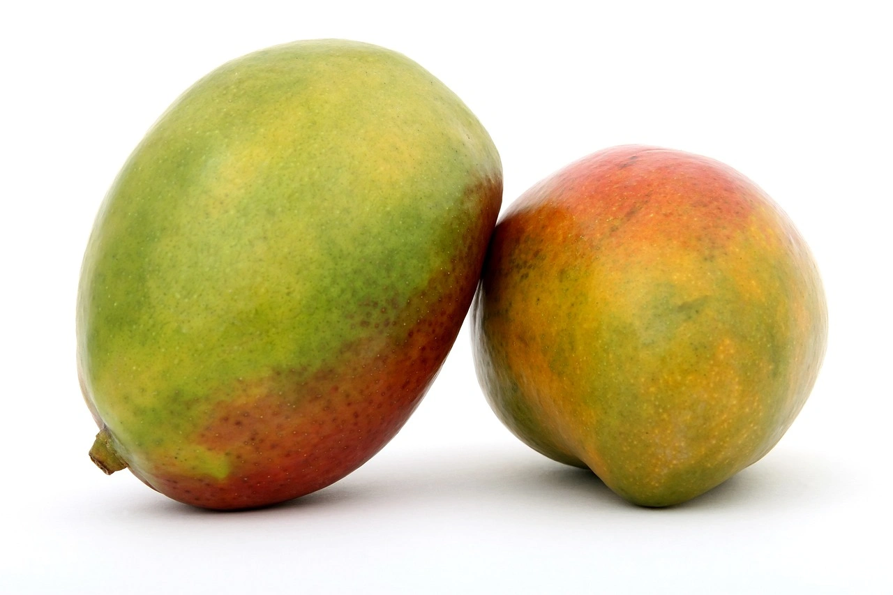 Alphanso Mango