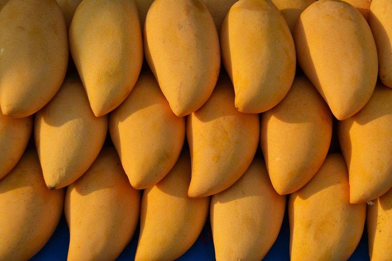 Indian Fresh Mango