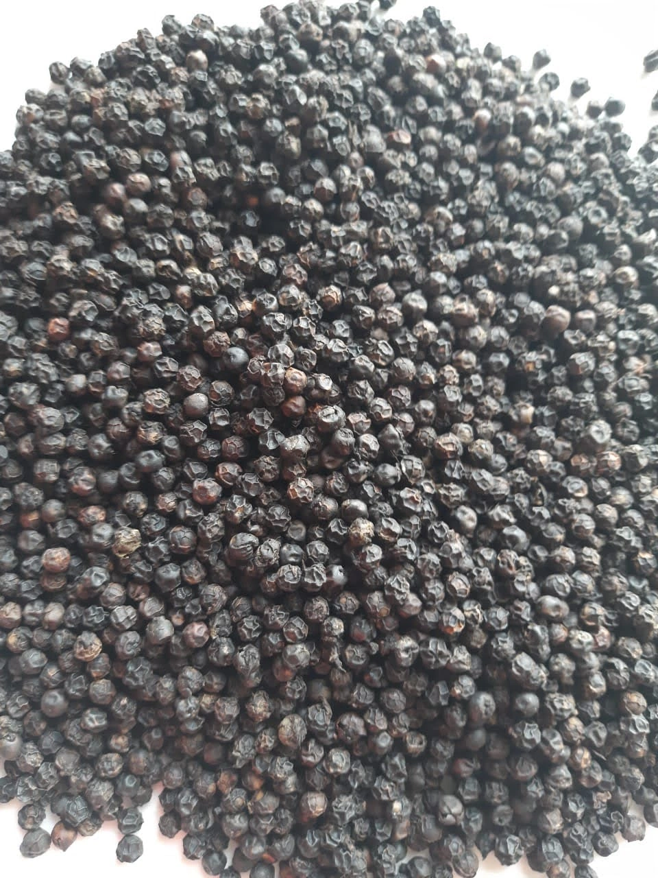 Black Pepper whole