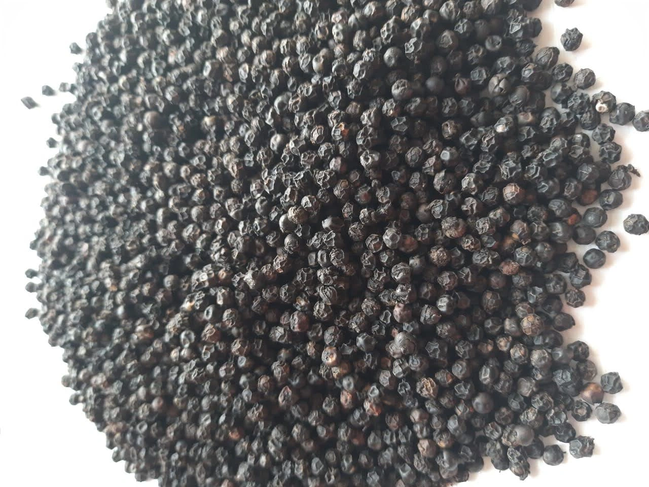 Black Pepper