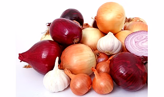 Onion