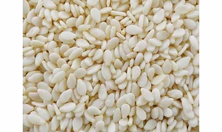 Sesame Seeds