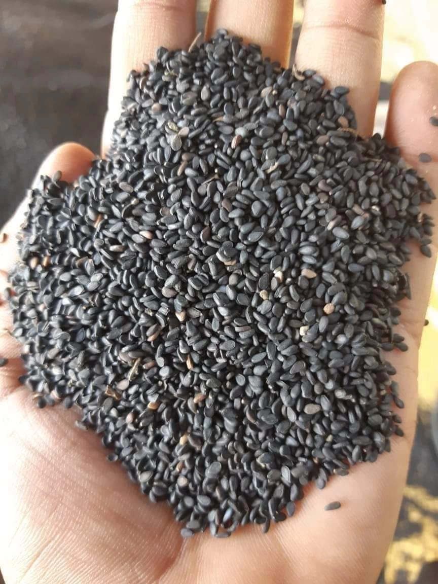 Black Sesame Seeds